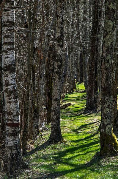 Ostello Landarenca Buitenkant foto