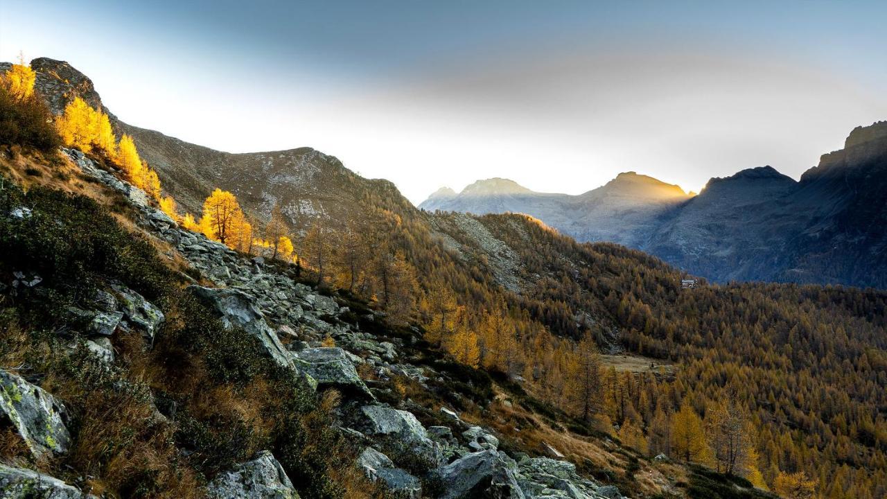 Ostello Landarenca Buitenkant foto